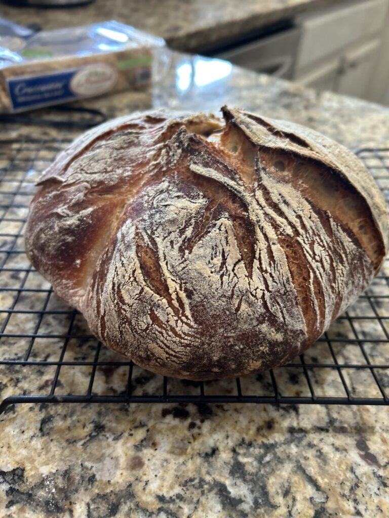 My first poolish!