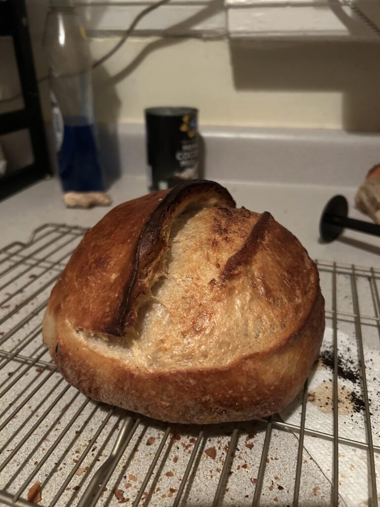 Batard bunnies Batard bunnies