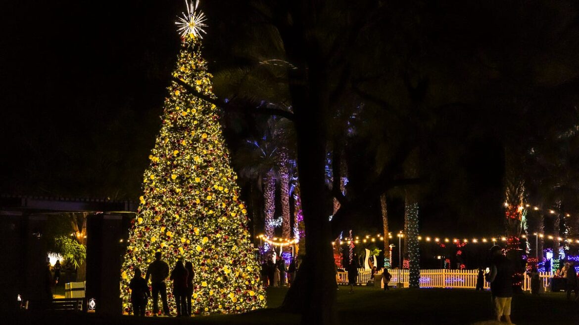 8 Palm Springs area restaurants with takeout specials this Christmas