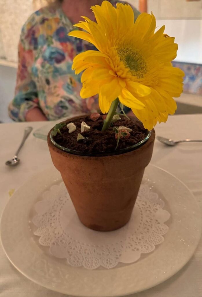 Dessert in a flowerpot (enjoy eating dirt)