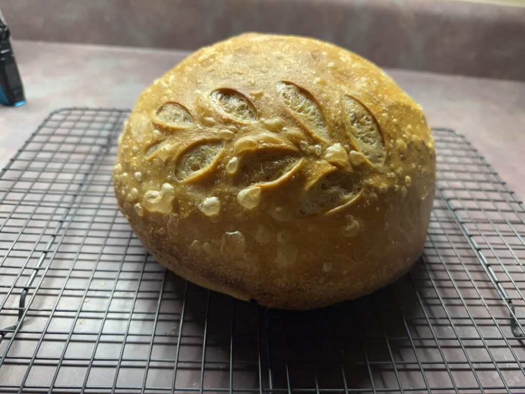 First loaf.. life got in the way
