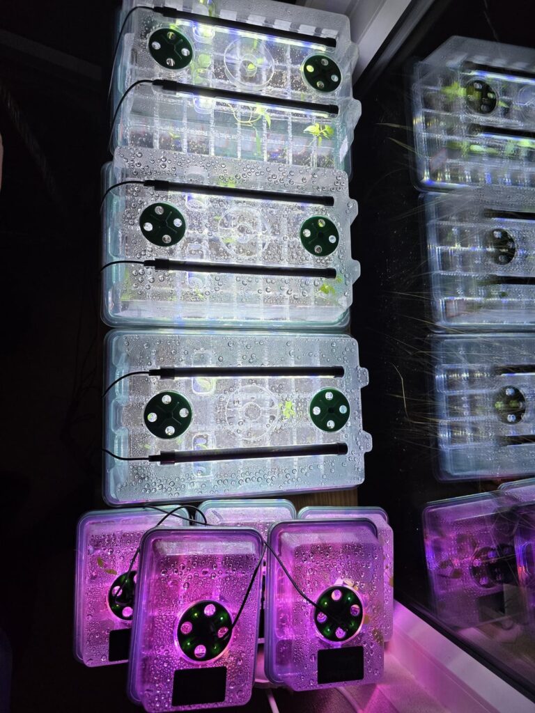 Update: 46 Peppers in 25 Update: 46 Peppers in 25