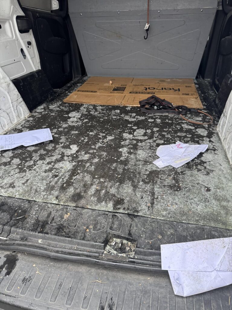 Bleach and water should fix it. -management