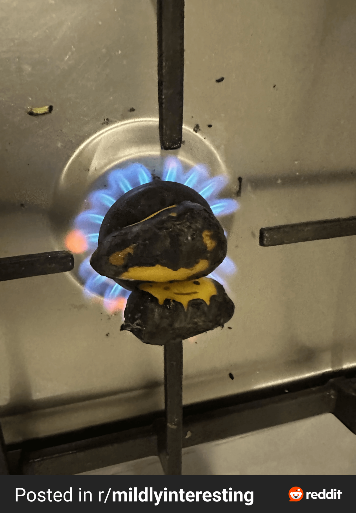 Anyone here roast this way? via r/mildlyinteresting