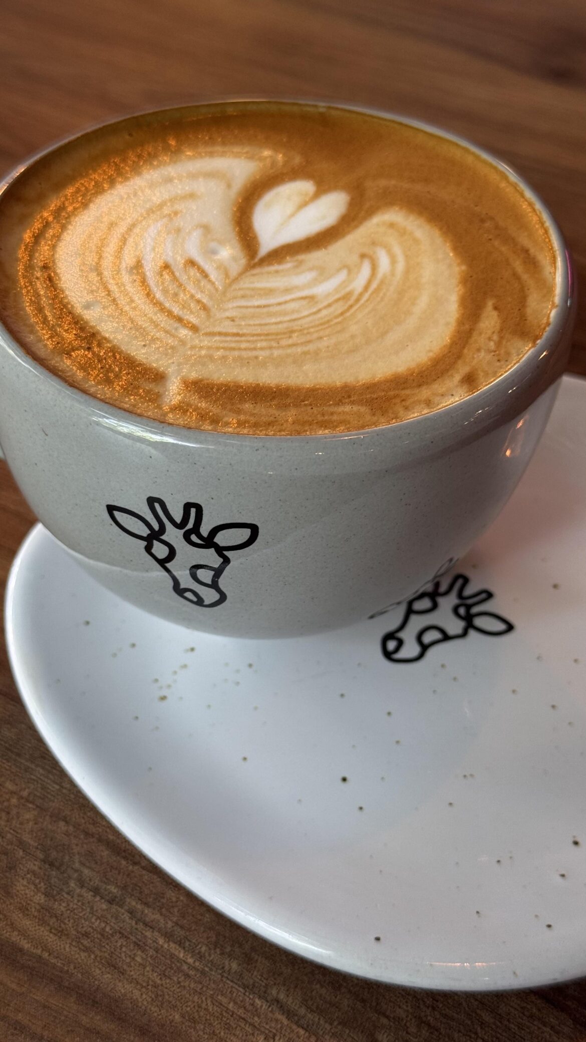 You wanna drink a good coffee in Medellin? This place is the best for that 🤤🤤🤤