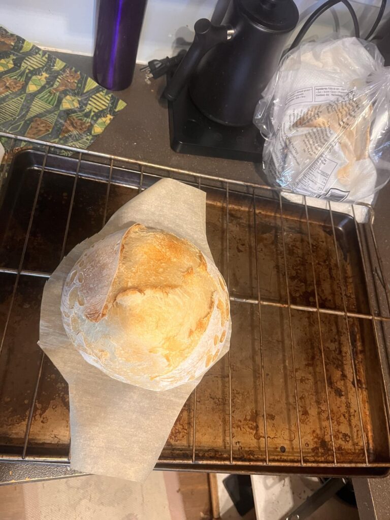 First go with a starter from a friend and I think I did it