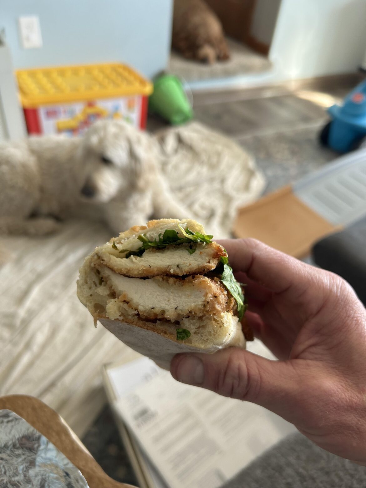 Chicken cutlet, arugula, lemon vinaigrette