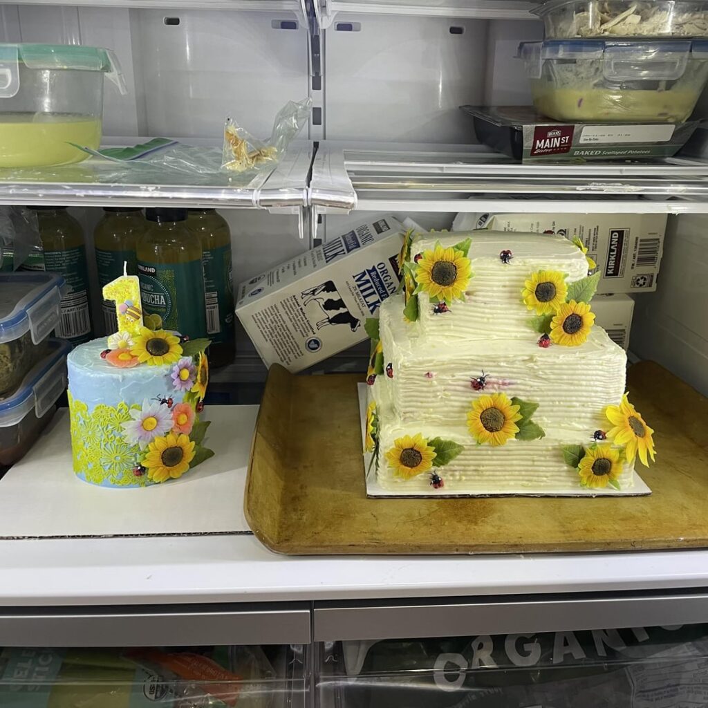 They didn't turn out anything like I wanted, but here are the cakes I made for my niece's first birthday. 🙃