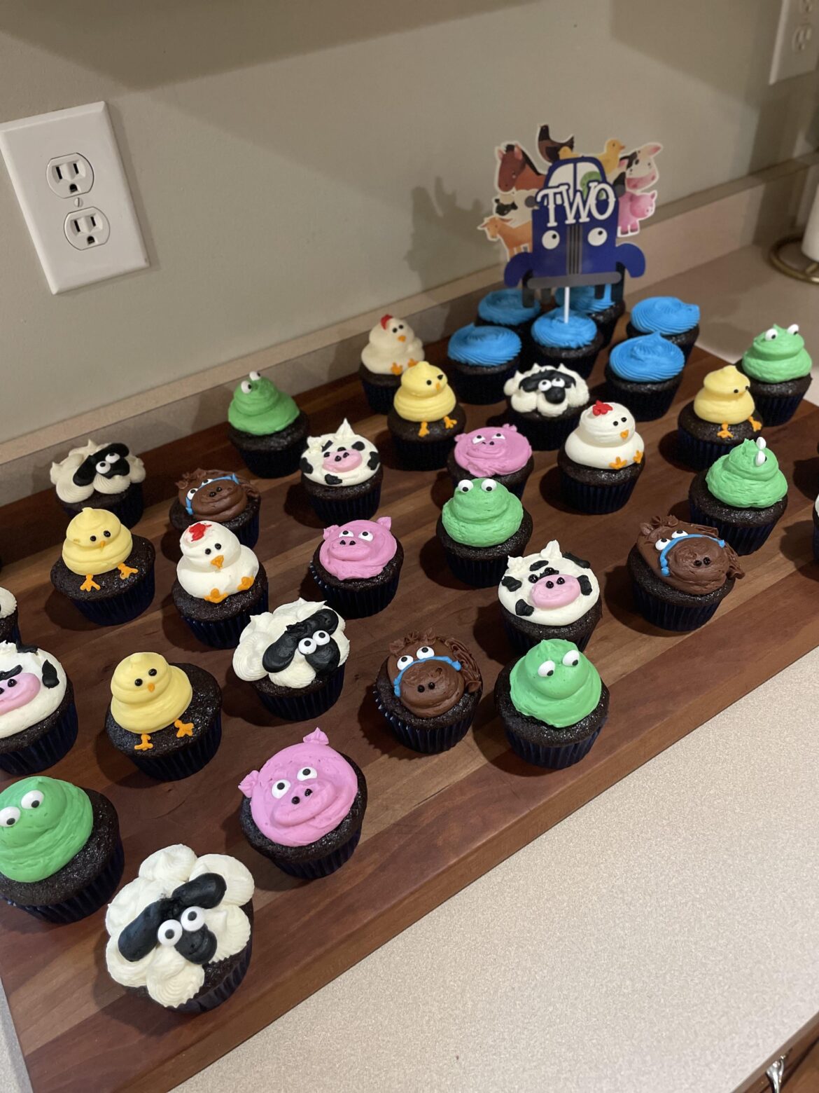My wife made and decorated homemade cupcakes for our nephew’s 2nd birthday party.