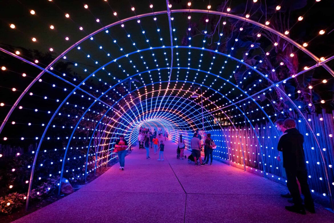 Busch Gardens Christmas Town: Complete Guide and Overview