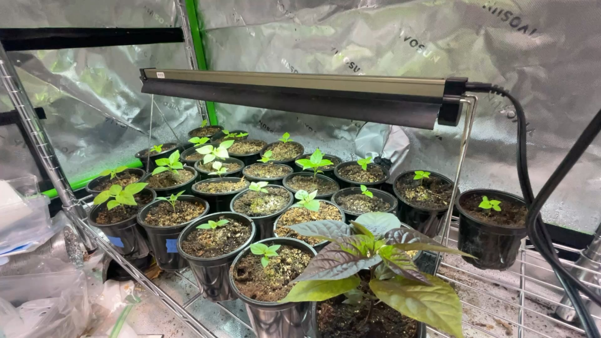 Gonna be real crowded in here soon