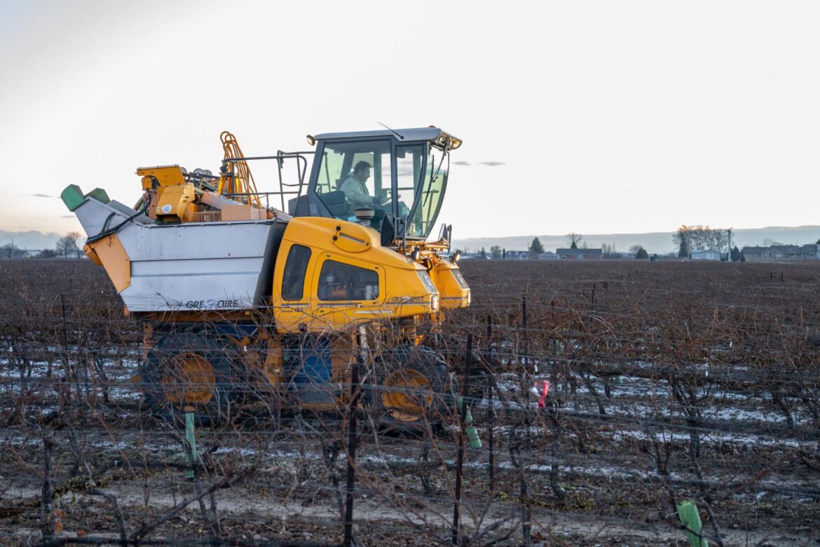 U.S. tariffs on wine would be ‘devastating,’ says winery manager U.S. tariffs on wine would be 'devastating,' says winery manager