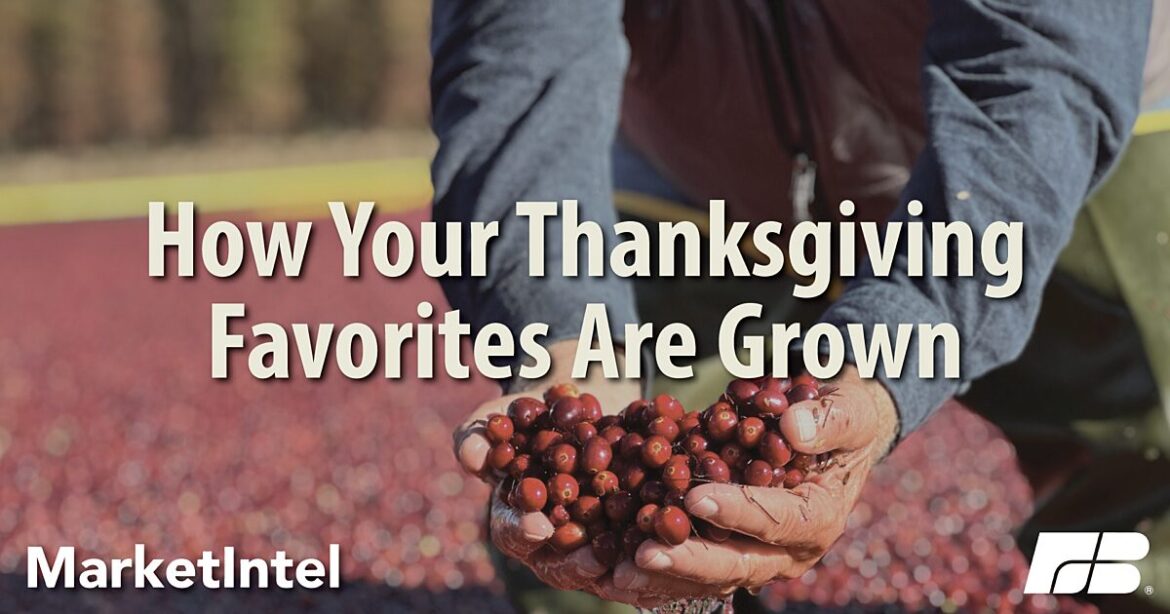 Thanksgiving Dinner: A Celebration of American Agriculture | Market Intel