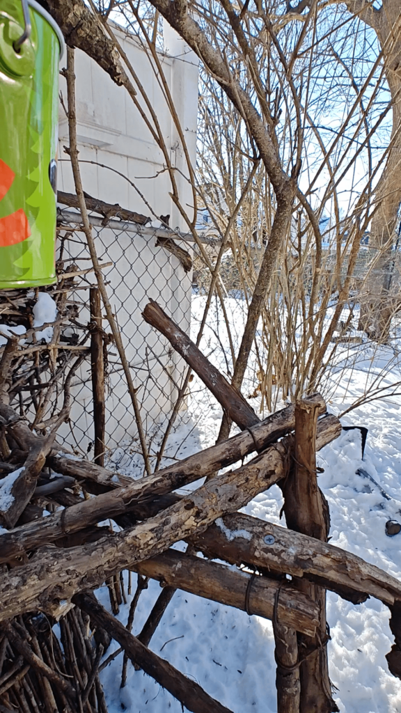 A charcuterie for the birds