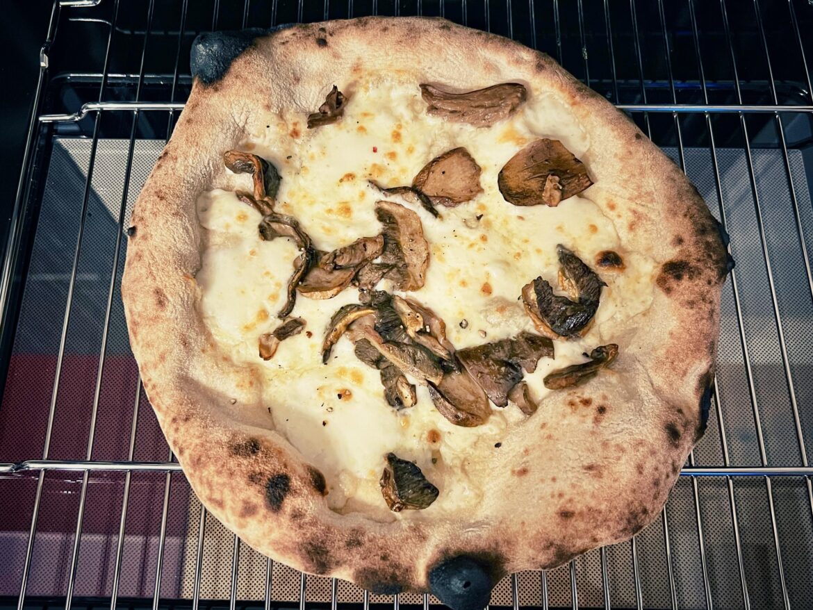 Pizza with porcini mushrooms, mozzarella and taleggio cheese 🤪