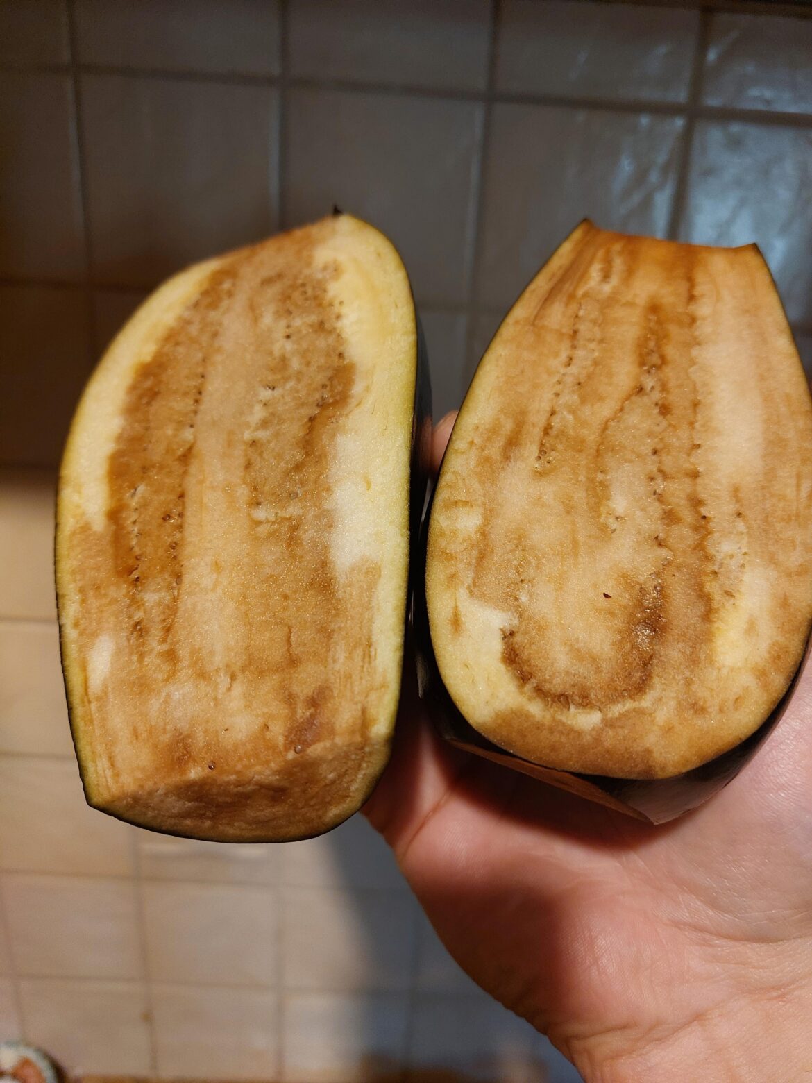 Is this eggplant spoiled or good?