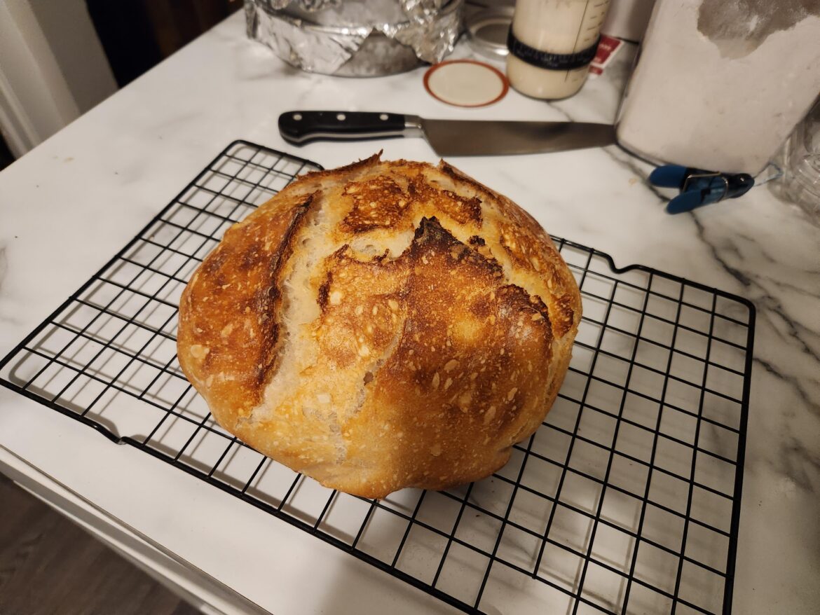 Update: 6 day old starter into a beautiful boule