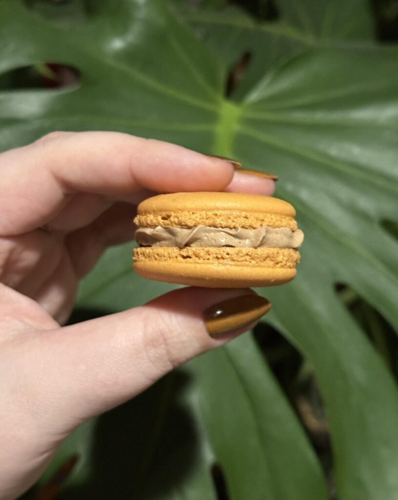 Chocolate orange macarons 🍫🍊
