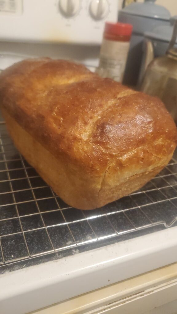 I made a loaf of sandwich sourdough bread with unfed discard