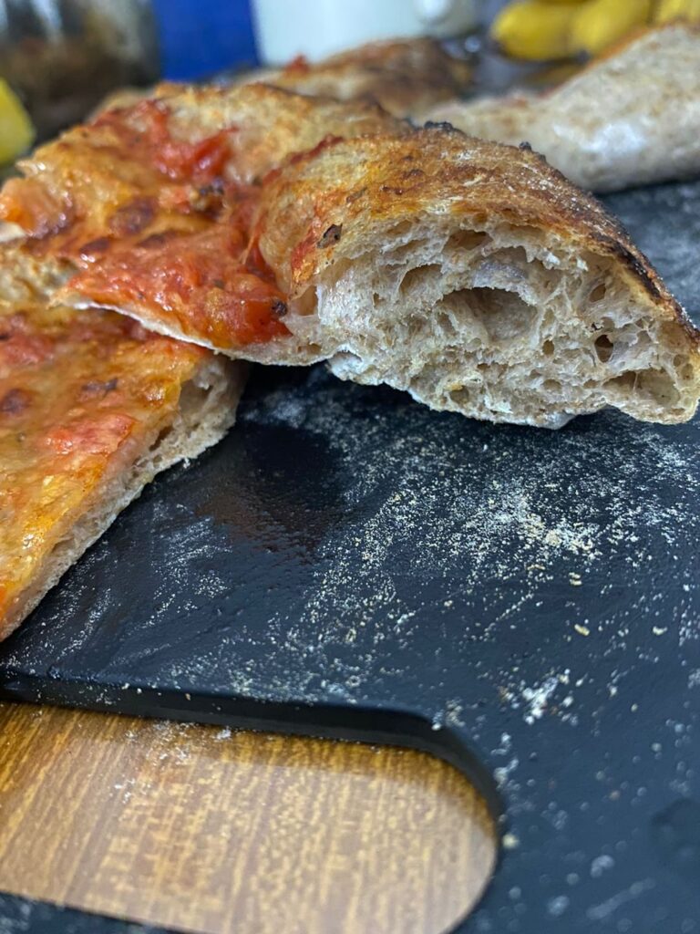 My First bread wheat flour pizza only