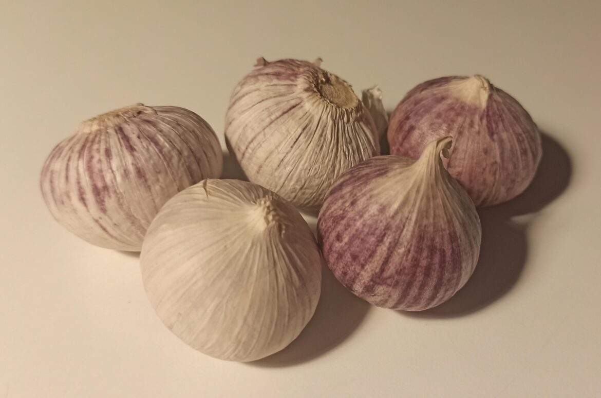 Do we like garlic too?