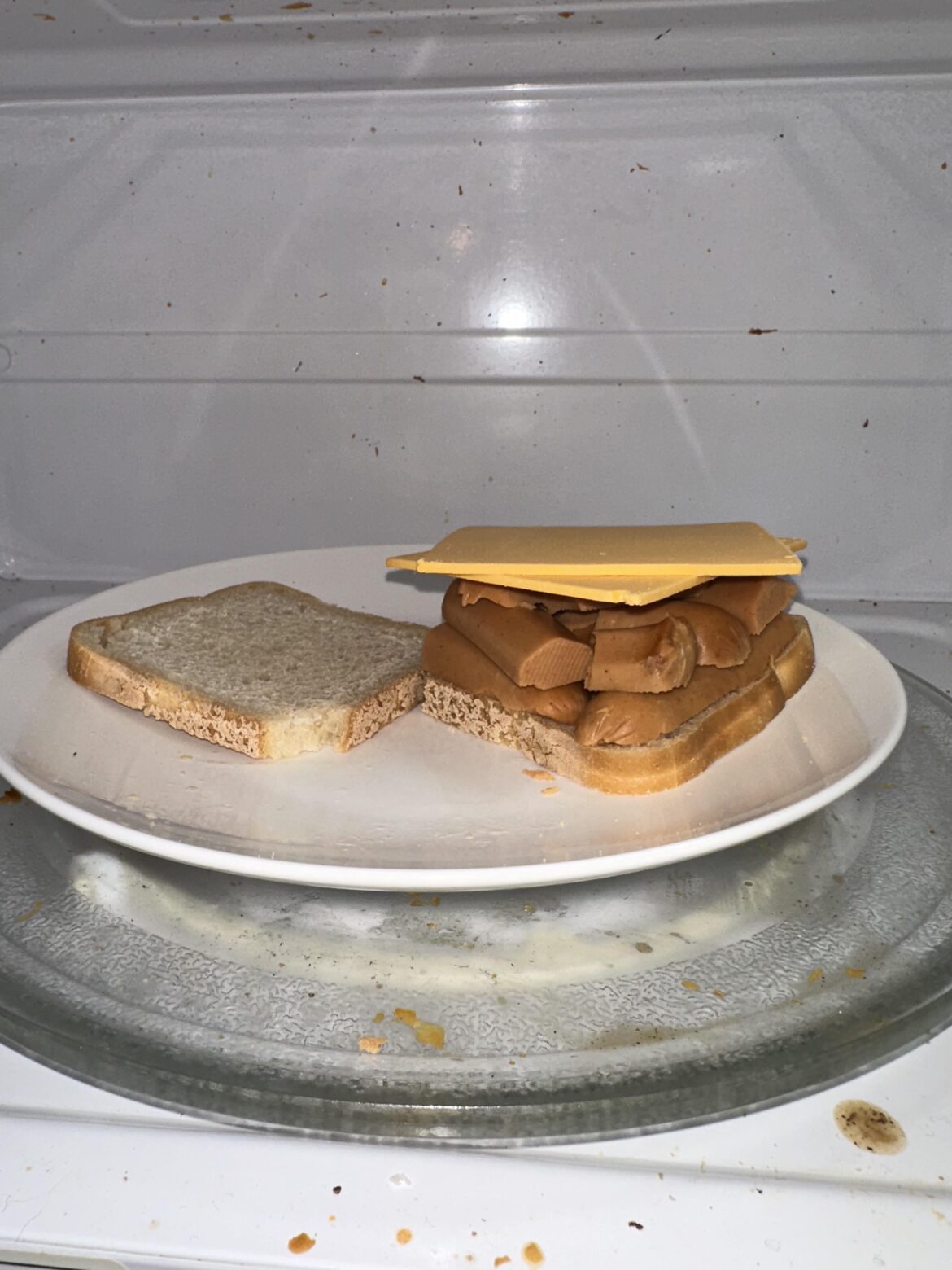 Vegan dogs, vegan cheese, gluten free vegan bread, dirty microwave