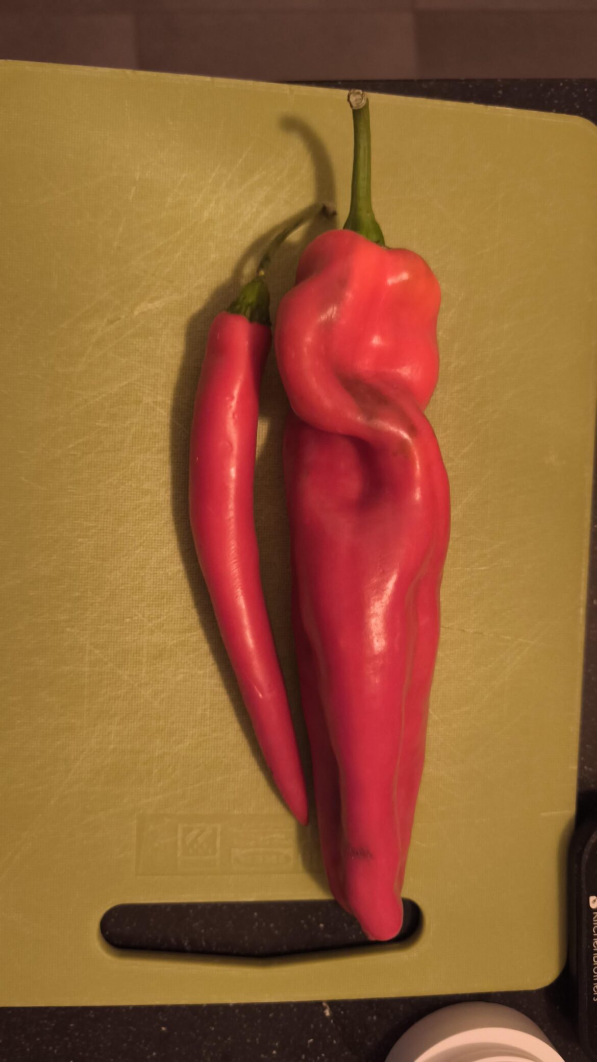 I received a giant chili pepper