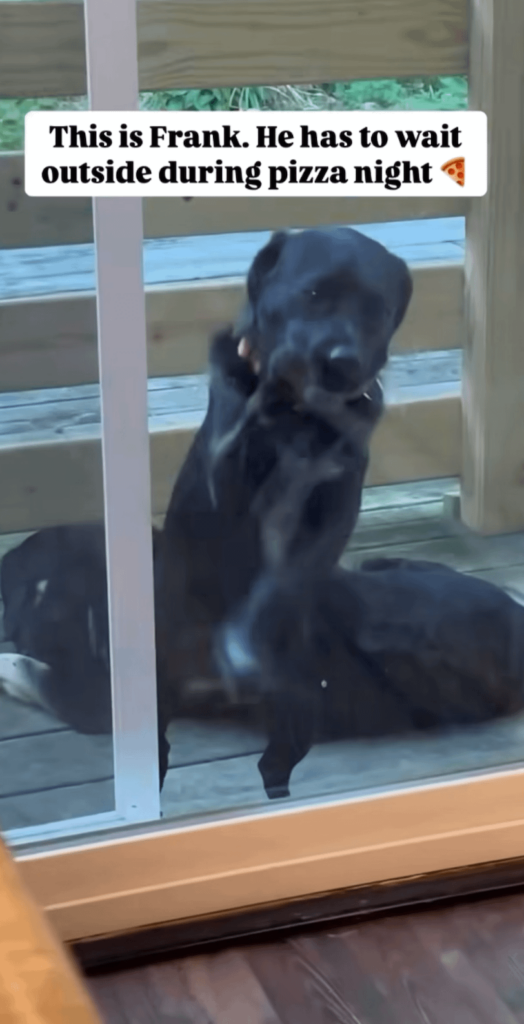 Someone has to stay outside when the pizza arrives.