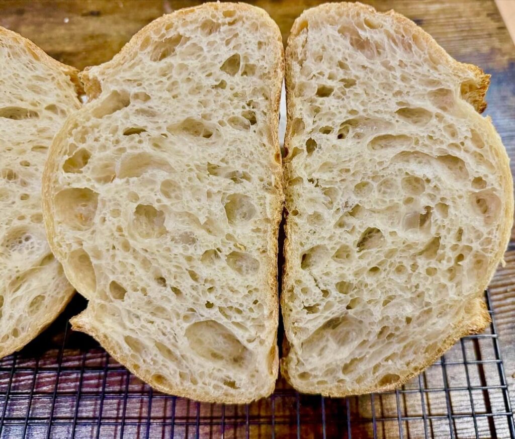 ChatGPT/Google saved my slightly over-proofed loaves