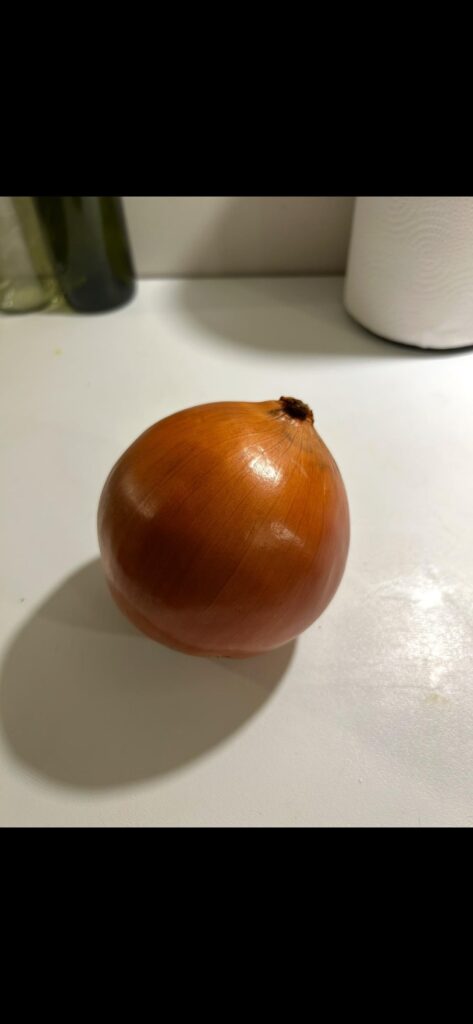 The most beautiful onion I’ve ever bought