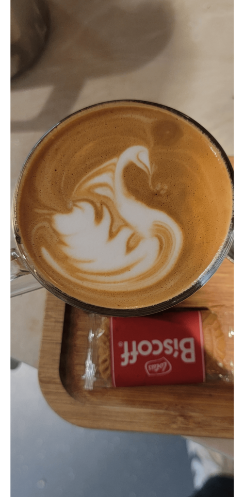 Closest I've come to a swan yet