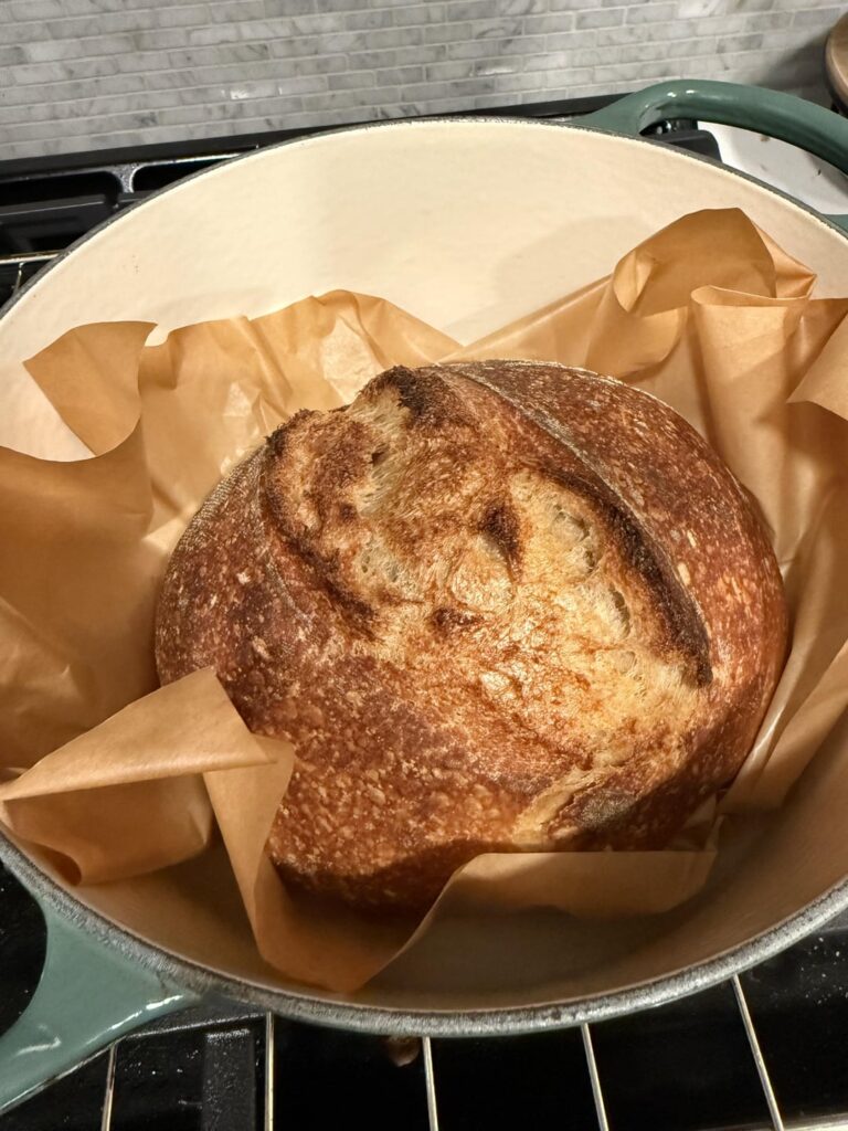 My first loaf – advice appreciated! My first loaf - advice appreciated!