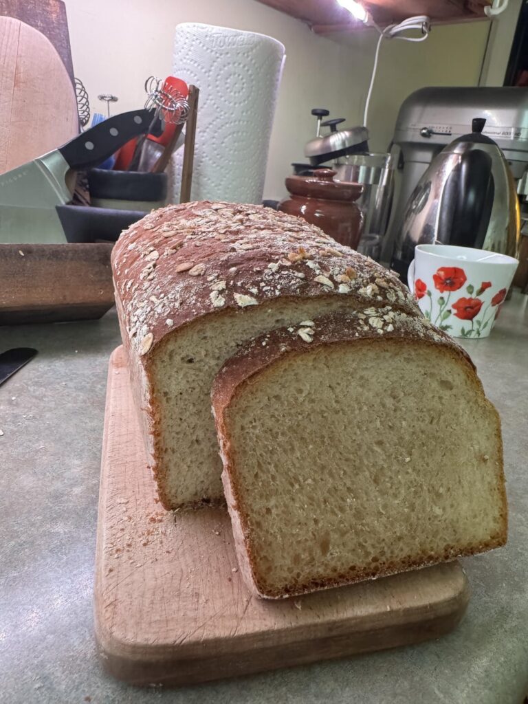 Honey Oat Loaf 🍯 Honey Oat Loaf 🍯