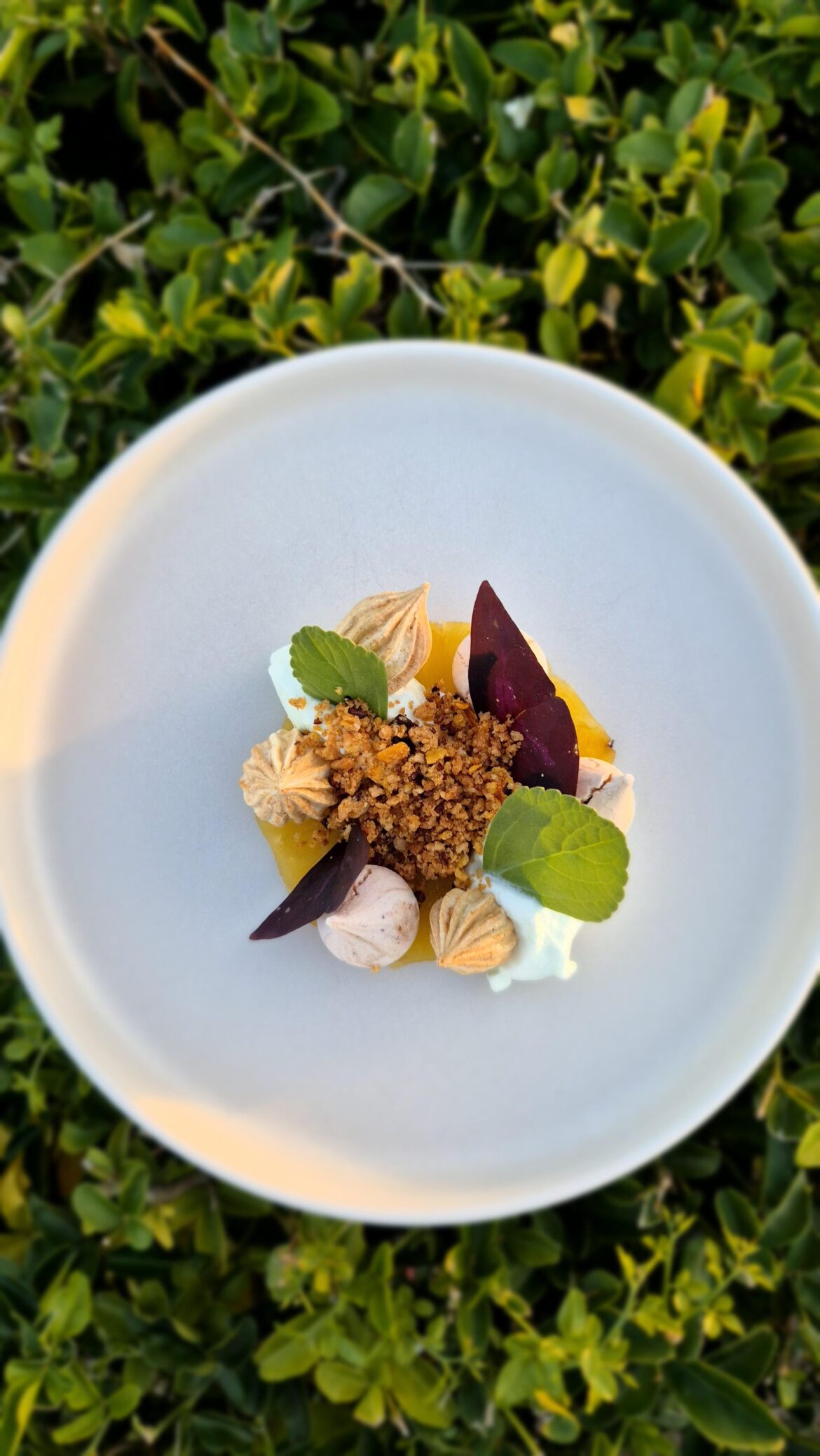 Pavlova: Compressed pineapple, mint chantilly, red wine meringue, toasted pineapple meringue, pineapple and rose syrup, pineapple mint and wood Sorrel, cocoa nib sablee