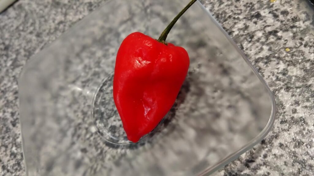 I just ate this, what is it?