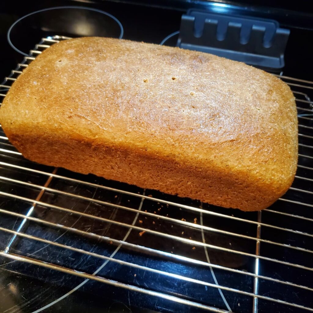 First Loaf with Home Milled Flour First Loaf with Home Milled Flour