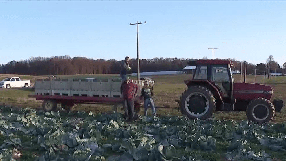 First Fruit Farms doubles impact, distributes 4.7M pounds to fight food insecurity in 2024 FOX logo