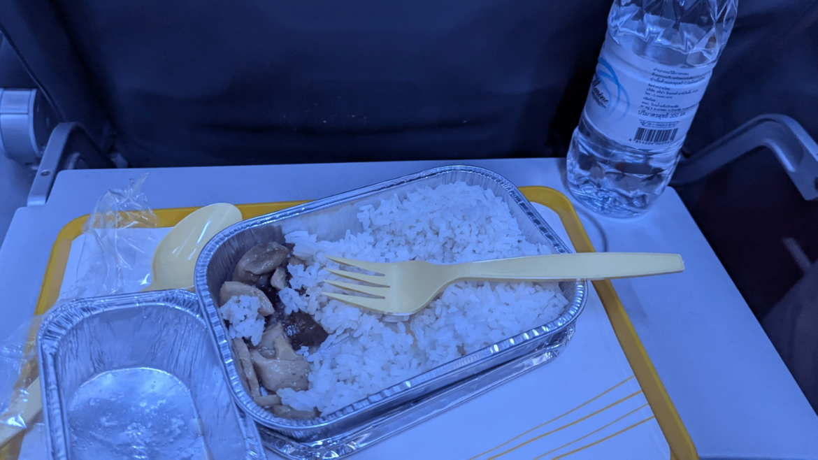 Boiled mushroom and rice served as the only hot meal on a Thai budget airline