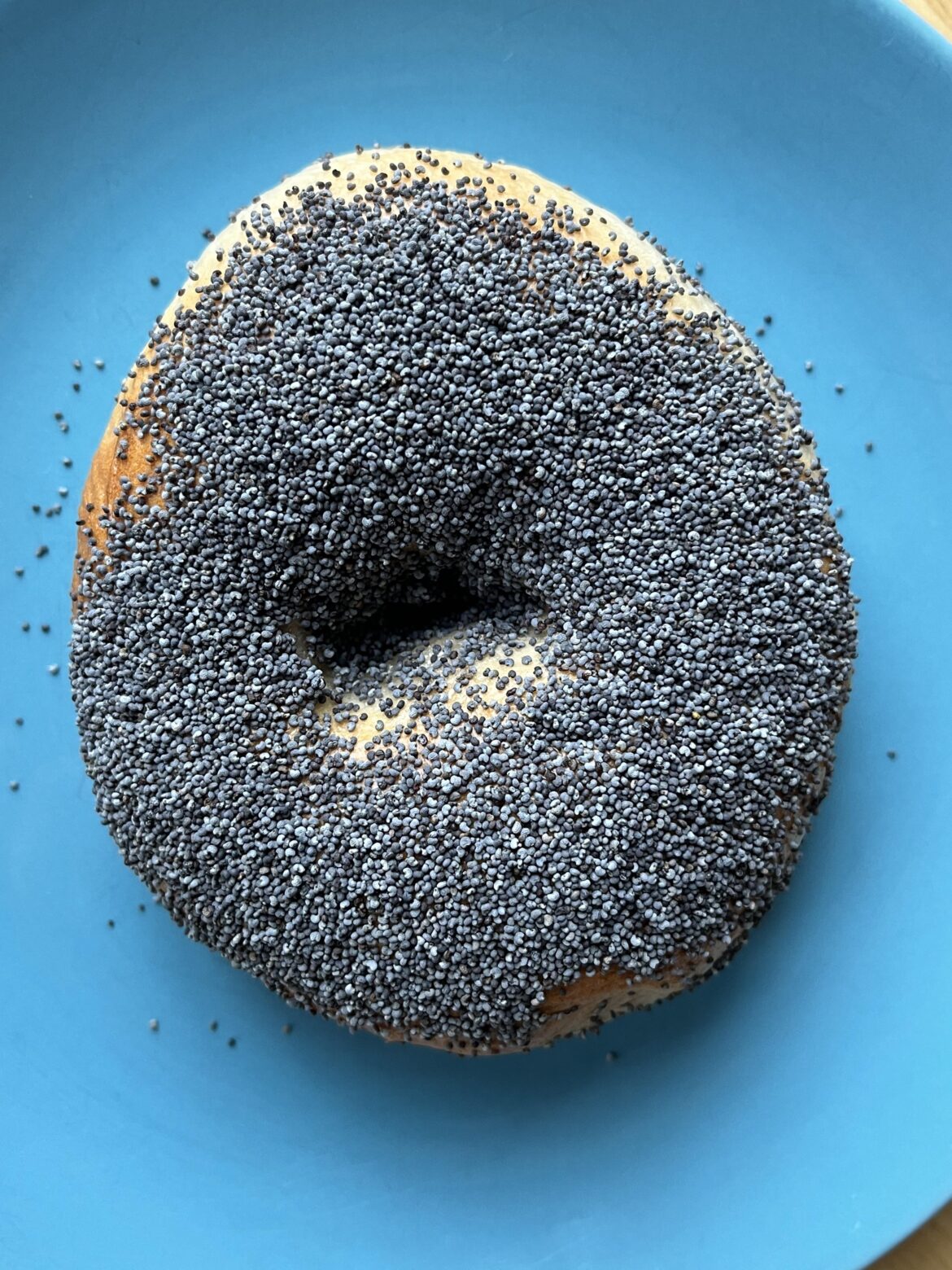 Finally made a bagel with enough poppy seeds