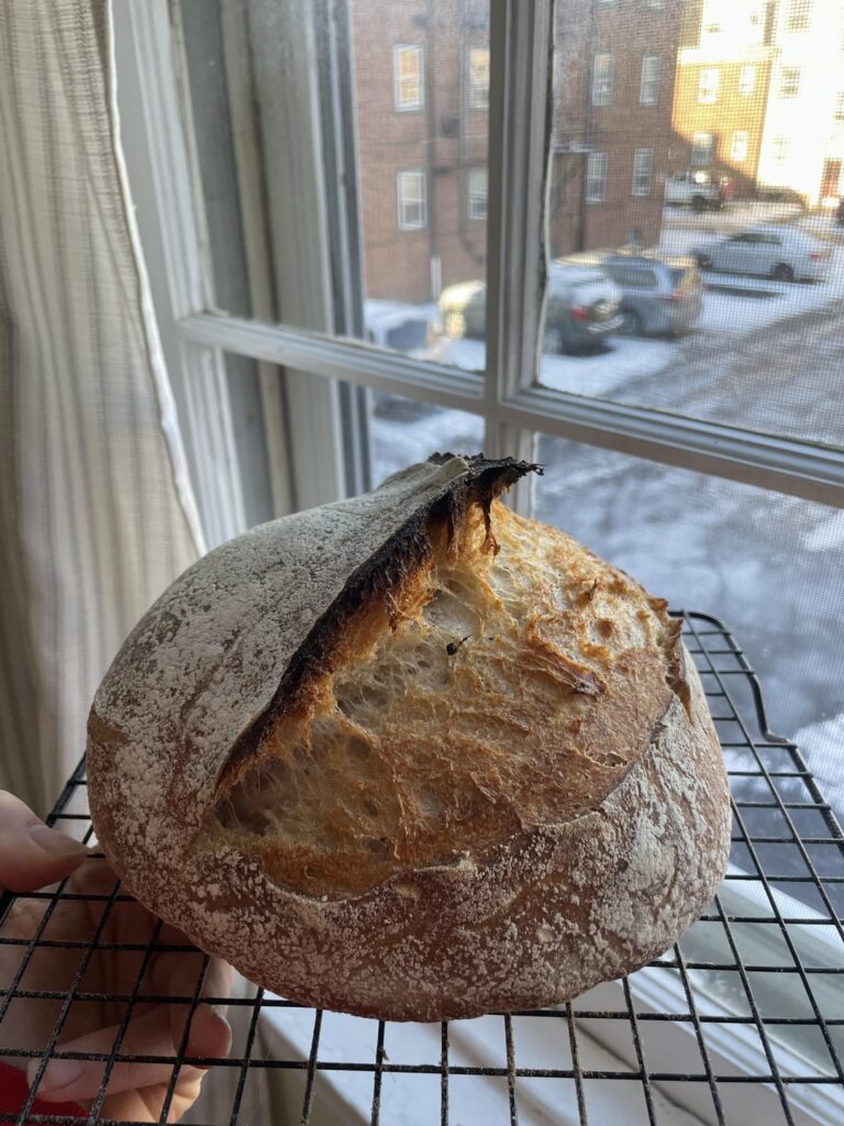 today reminded me why i love baking sourdough