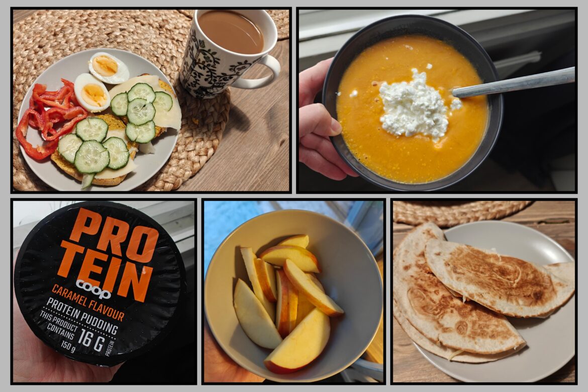 Trying to get back on track - whole day 1462kcal, 100g protein