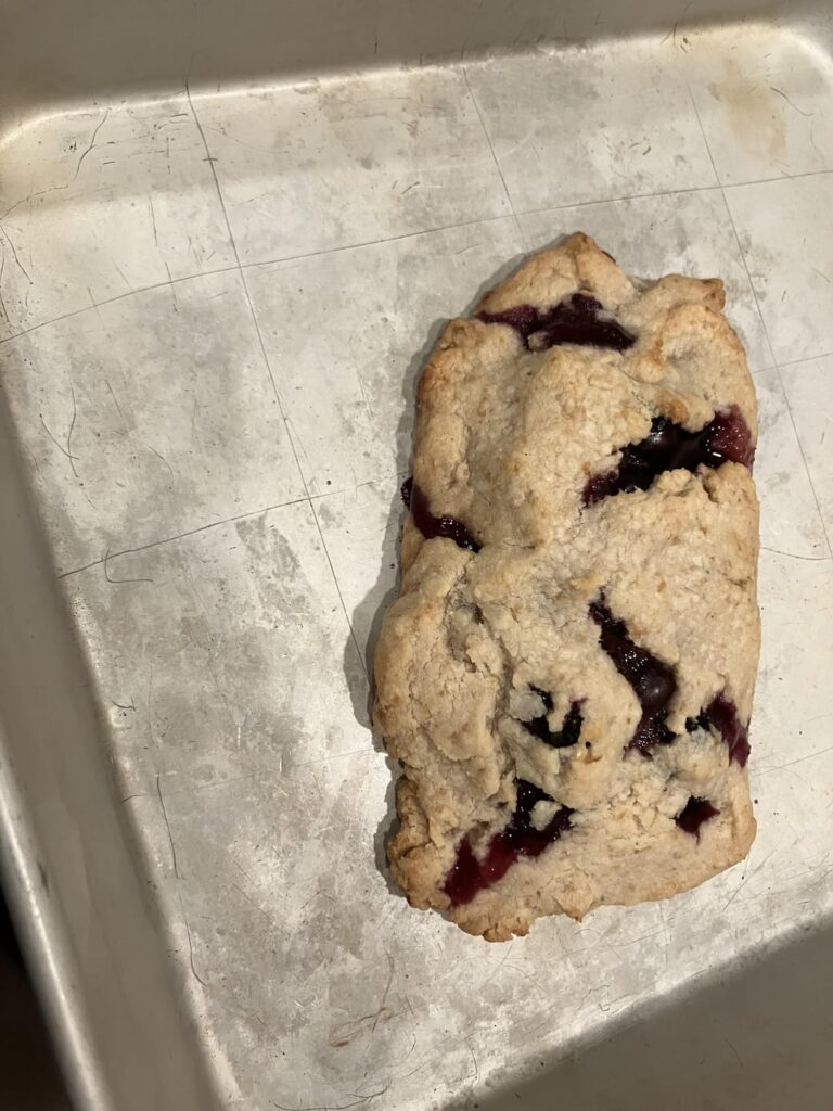 I tried to make a homemade Poptart / hand pie thingy.