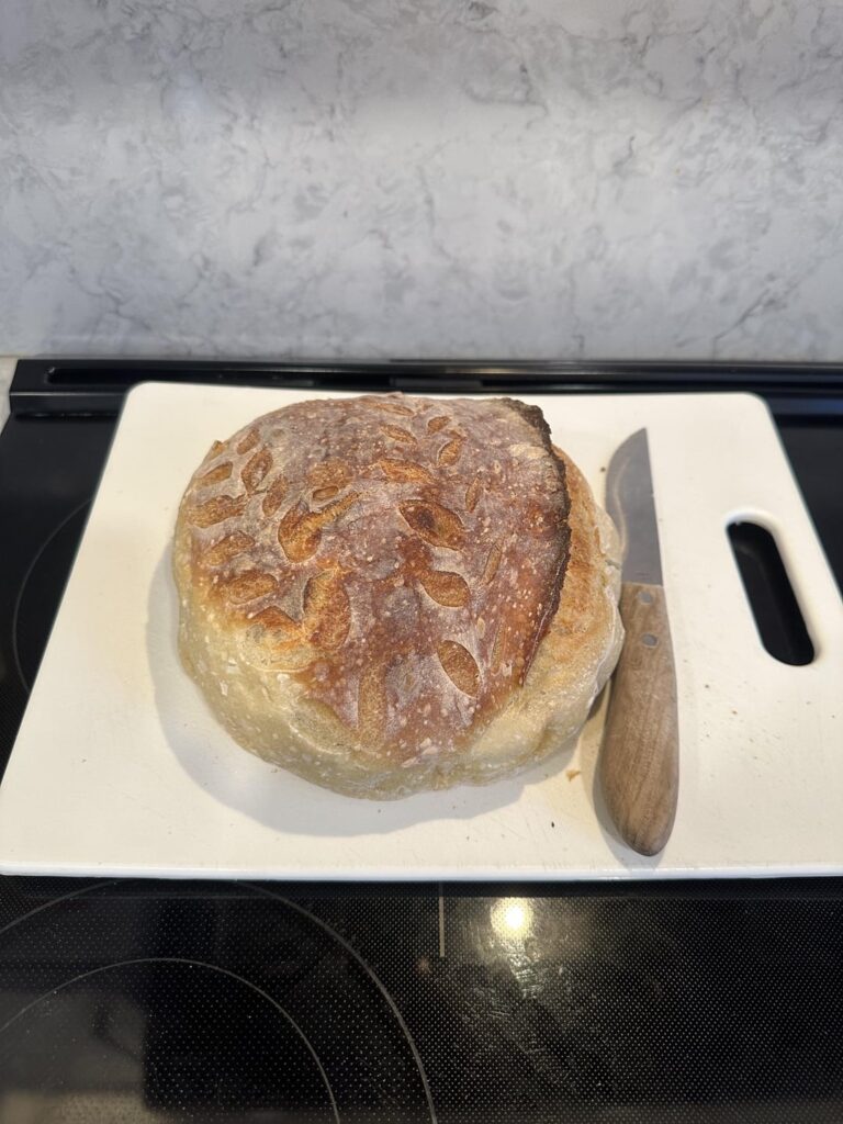 First Sourdough Attempt