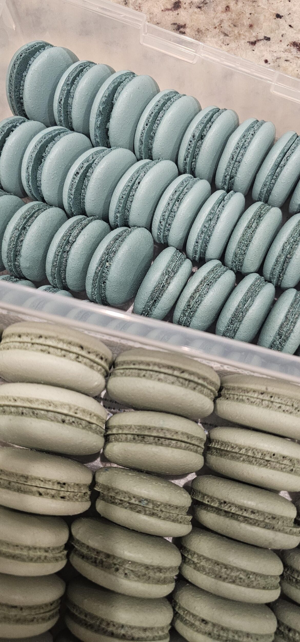 Blues and greens 💙💚