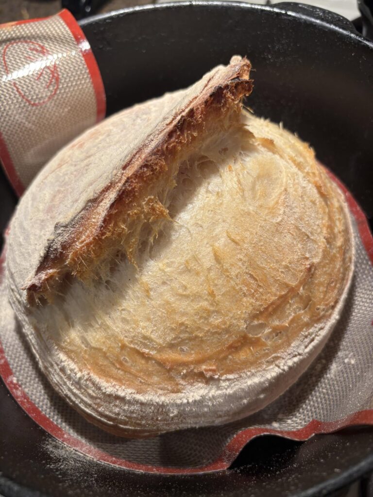 Beginner’s Luck? Beginner’s Luck?