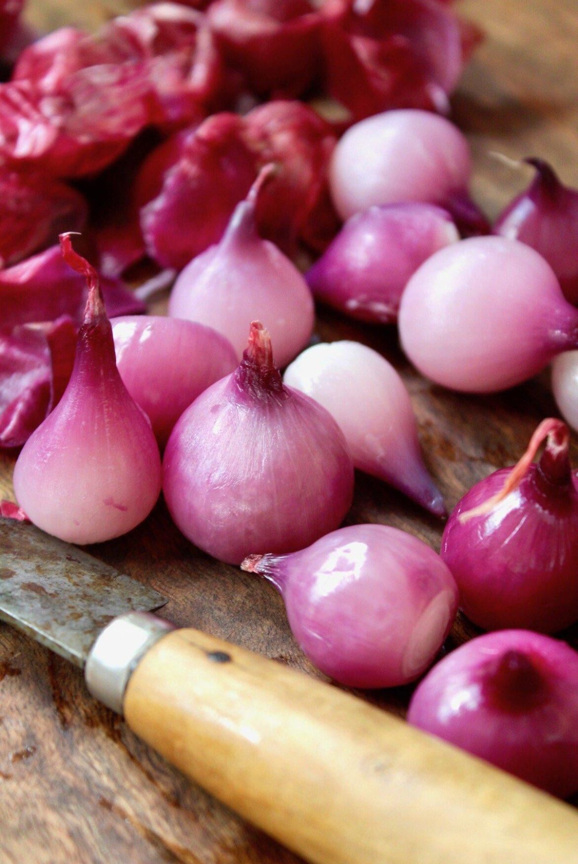 ISO info for small red onions seen in many Indian food videos