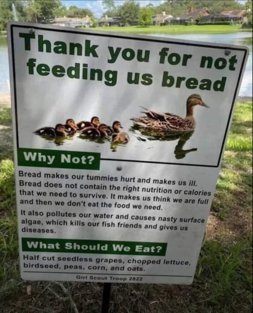 This made me think of this sub.