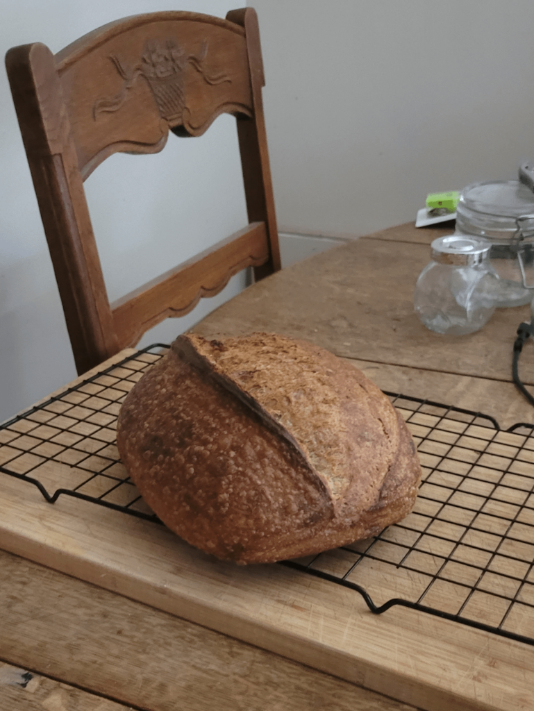 Leftover flour loaf (65% whole grain) turned out to be one of my best!