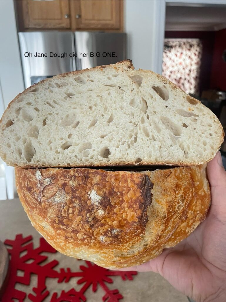 Don’t worry, it’s not my first bread. But it is my first sourdough Don’t worry, it’s not my first bread. But it is my first sourdough