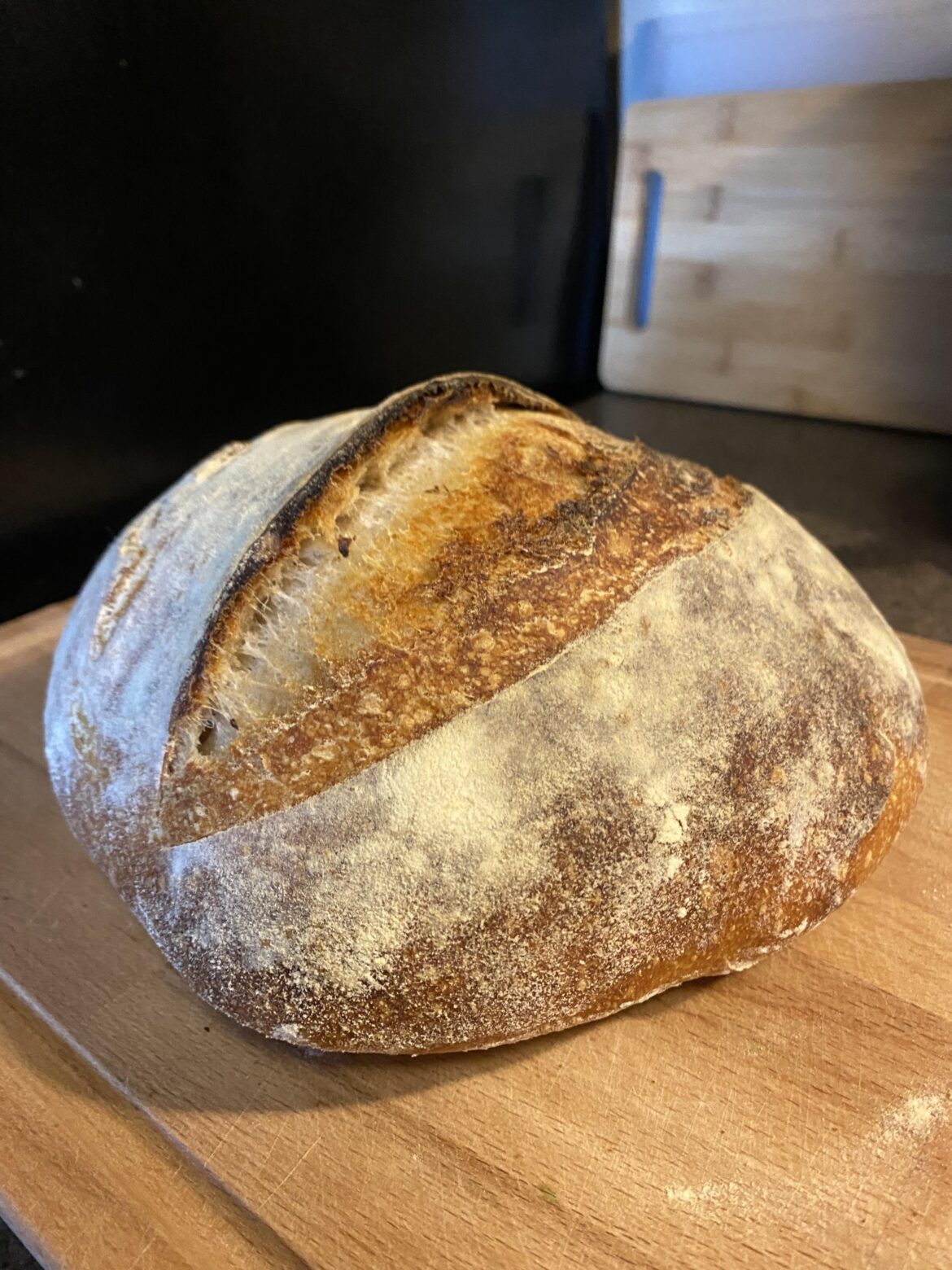 My best oven spring yet!